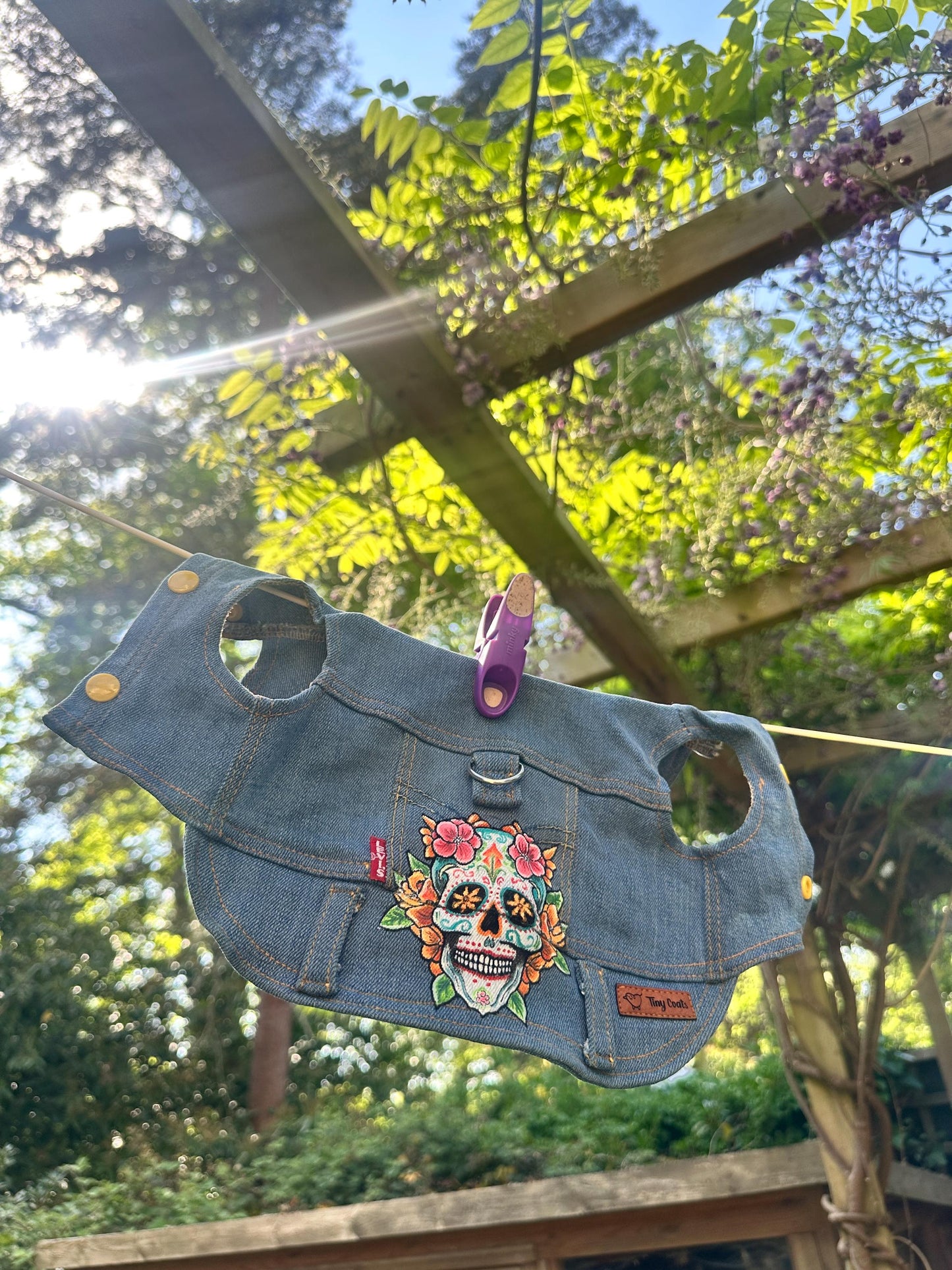 Hand Painted Day of the Dead Dog Denim Jacket