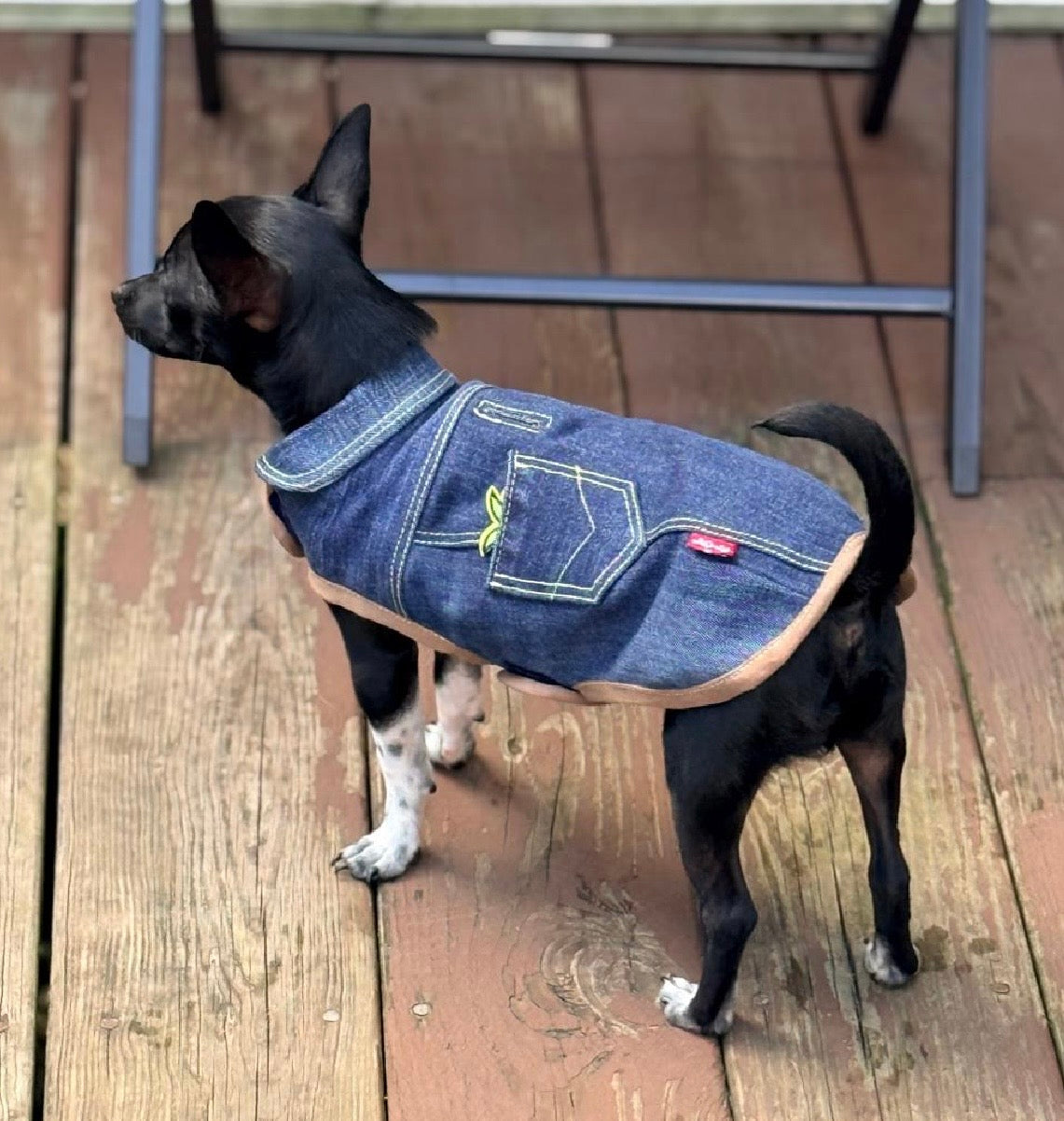Upcycled Levi’s lined Dog Jacket - Made to Measure & Fully Customisable