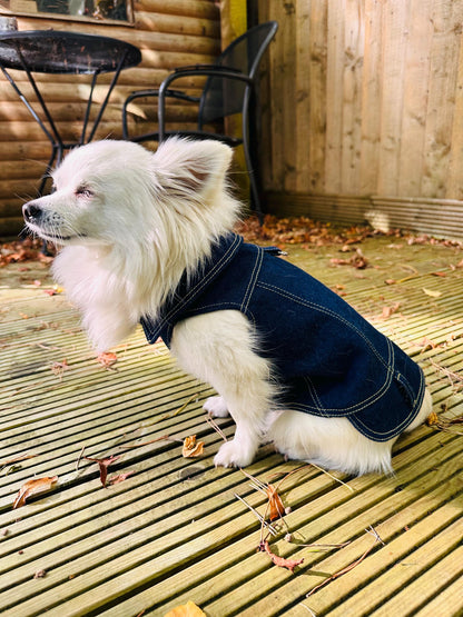 Custom Small Dog Denim Jacket - Handmade, Tailored & Fully Personalised