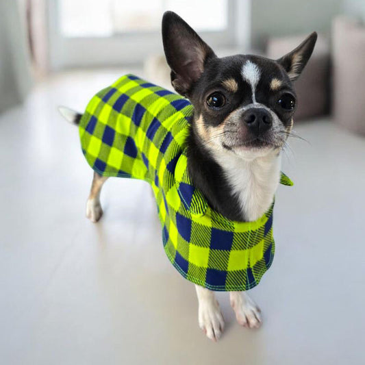 Small dog wearing a green and blue checkered coat. handmade to order
