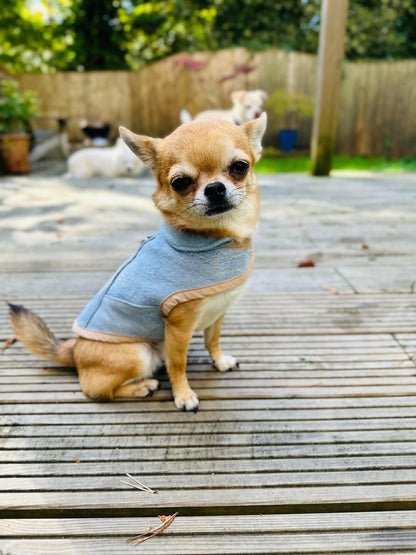 Upcycled Levi’s lined Dog Jacket - Made to Measure & Fully Customisable