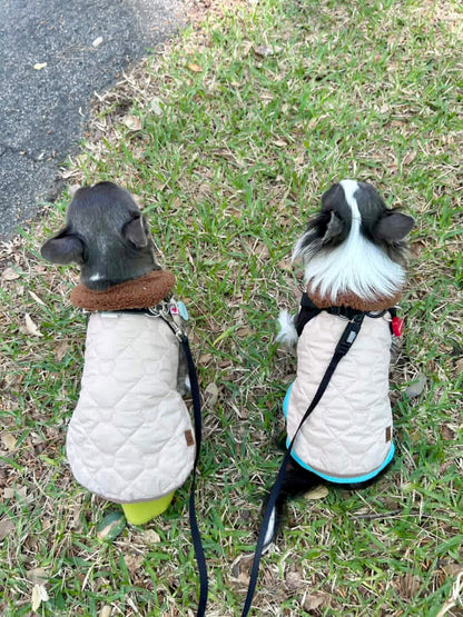 Made to Measure puffer jacket for tiny dogs