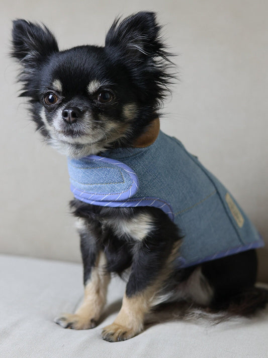 Upcycled Levi’s lined Dog Jacket - Made to Measure & Fully Customisable