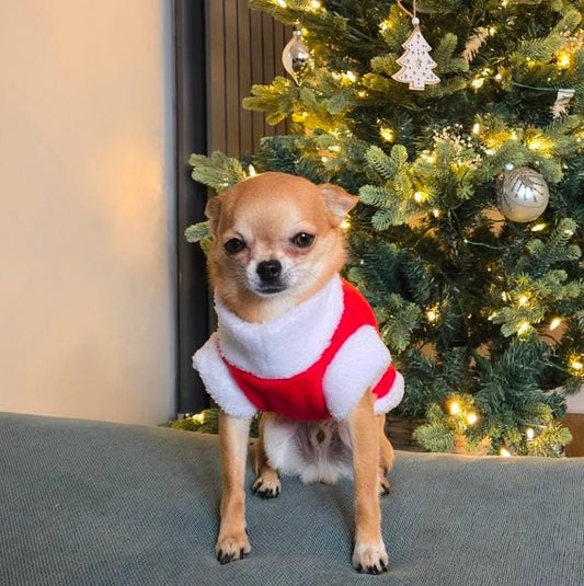 Handmade XXS tiny puppy Santa outfit soft fleece jumper with D ring for leash attachment- chest 8-10inch