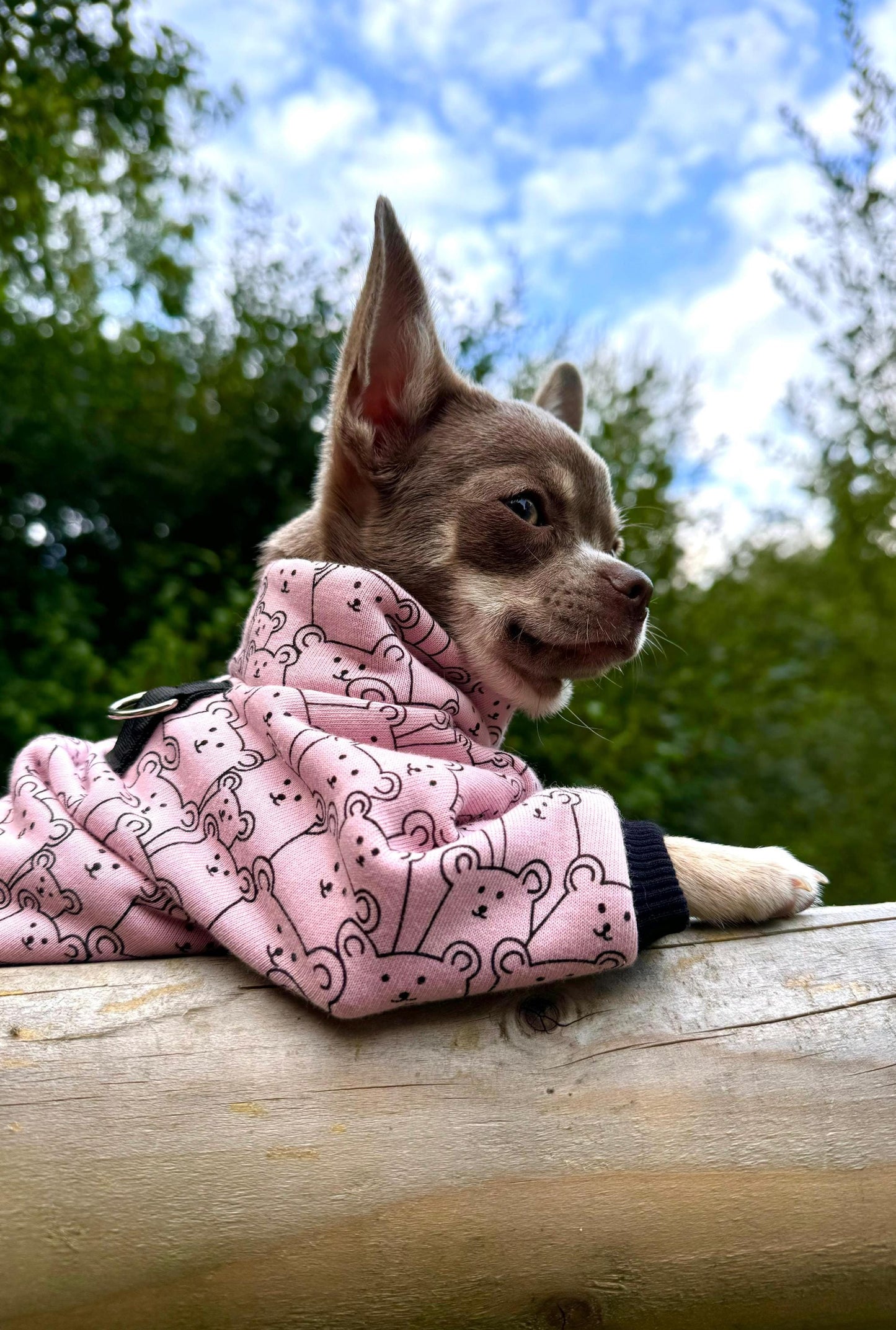 Made to measure - fleece lined Cotton sweatshirt