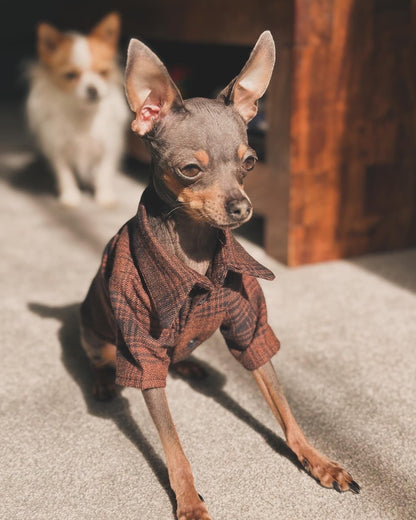 Upcycled Bespoke Flannel smart shirt | Made to measure for a small dog (1-7kg/ 2-15lbs)
