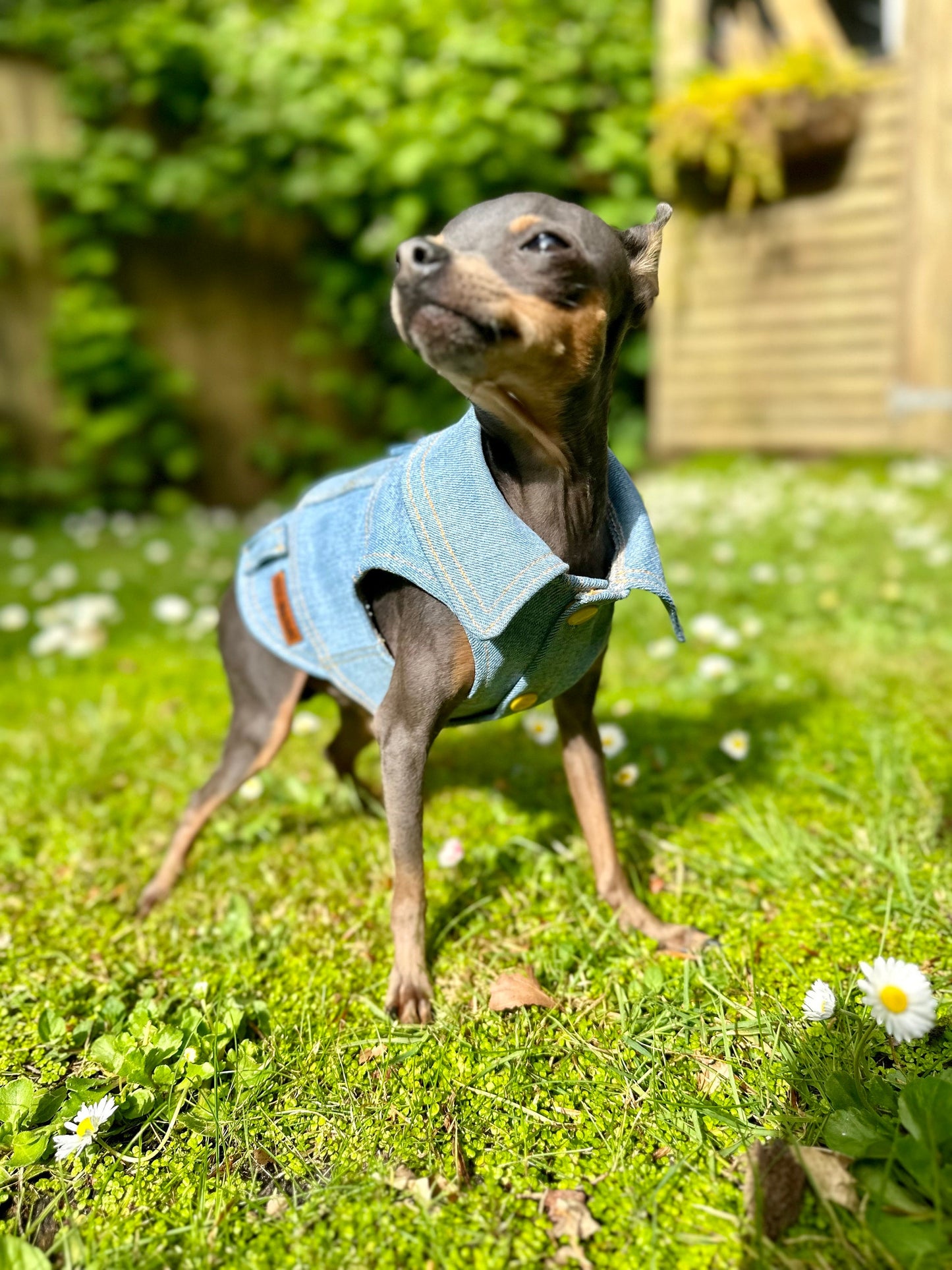 Upcycled Levi’s Denim Jacket -  Made to measure & fully customisable