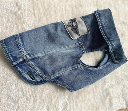 Denim Dog Jacket with winged Skull patch and Spiked Studs 49-55cm / 19-21.5inch chest