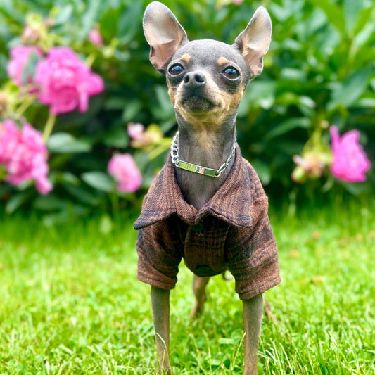 Upcycled Bespoke Flannel smart shirt | Made to measure for a small dog (1-7kg/ 2-15lbs)