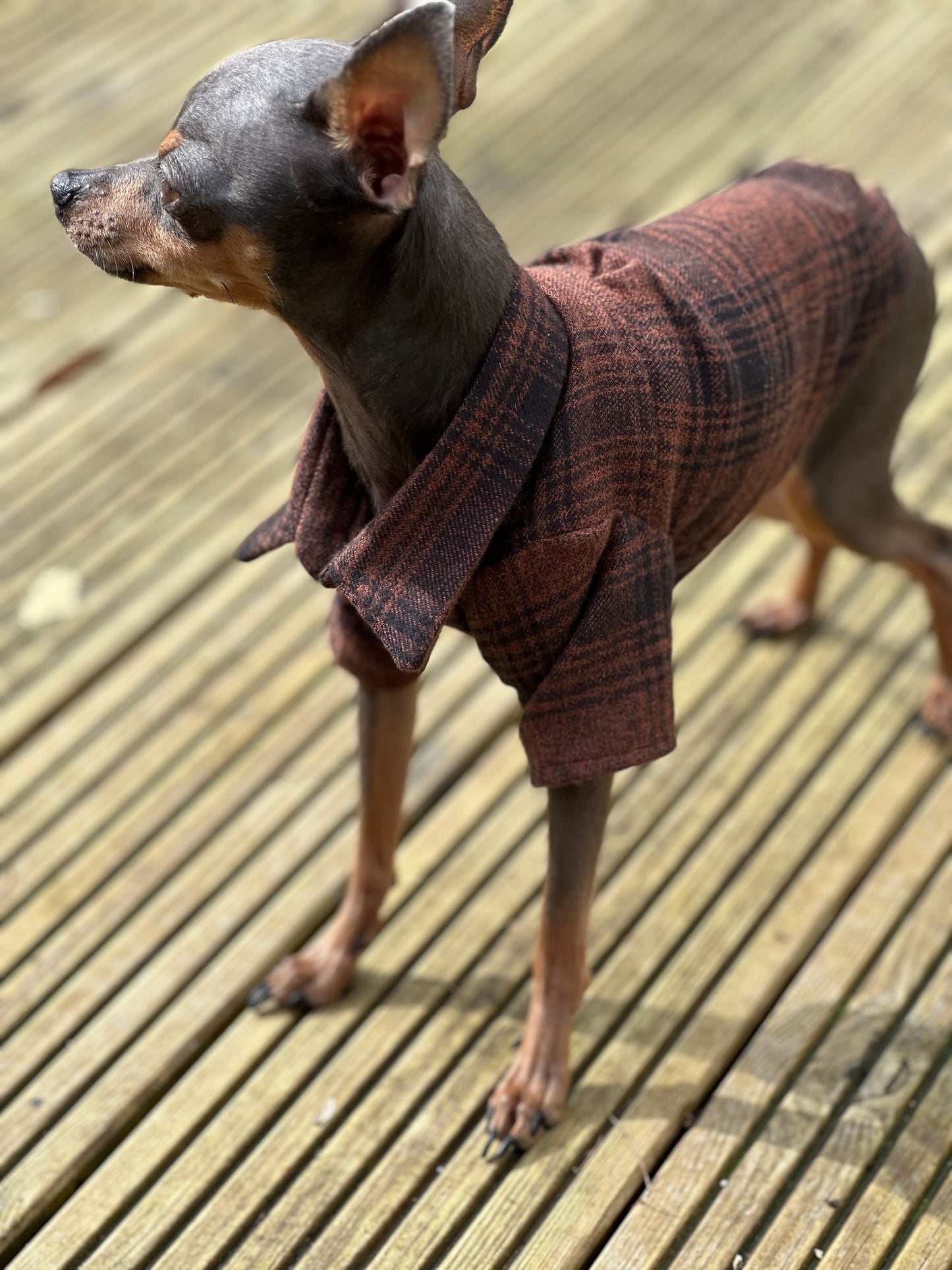 Upcycled Bespoke Flannel smart shirt | Made to measure for a small dog (1-7kg/ 2-15lbs)