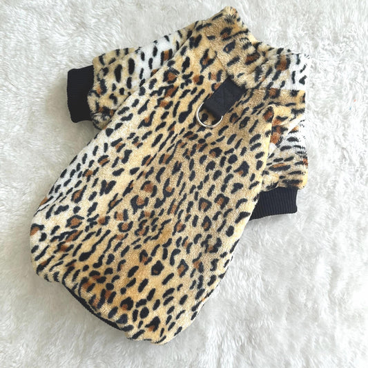 Leopard print dog coat on a white textured background