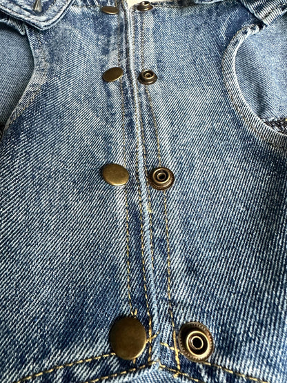 Denim Dog Jacket with winged Skull patch and Spiked Studs 49-55cm / 19-21.5inch chest