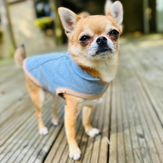 Upcycled Levi’s lined Dog Jacket - Made to Measure & Fully Customisable