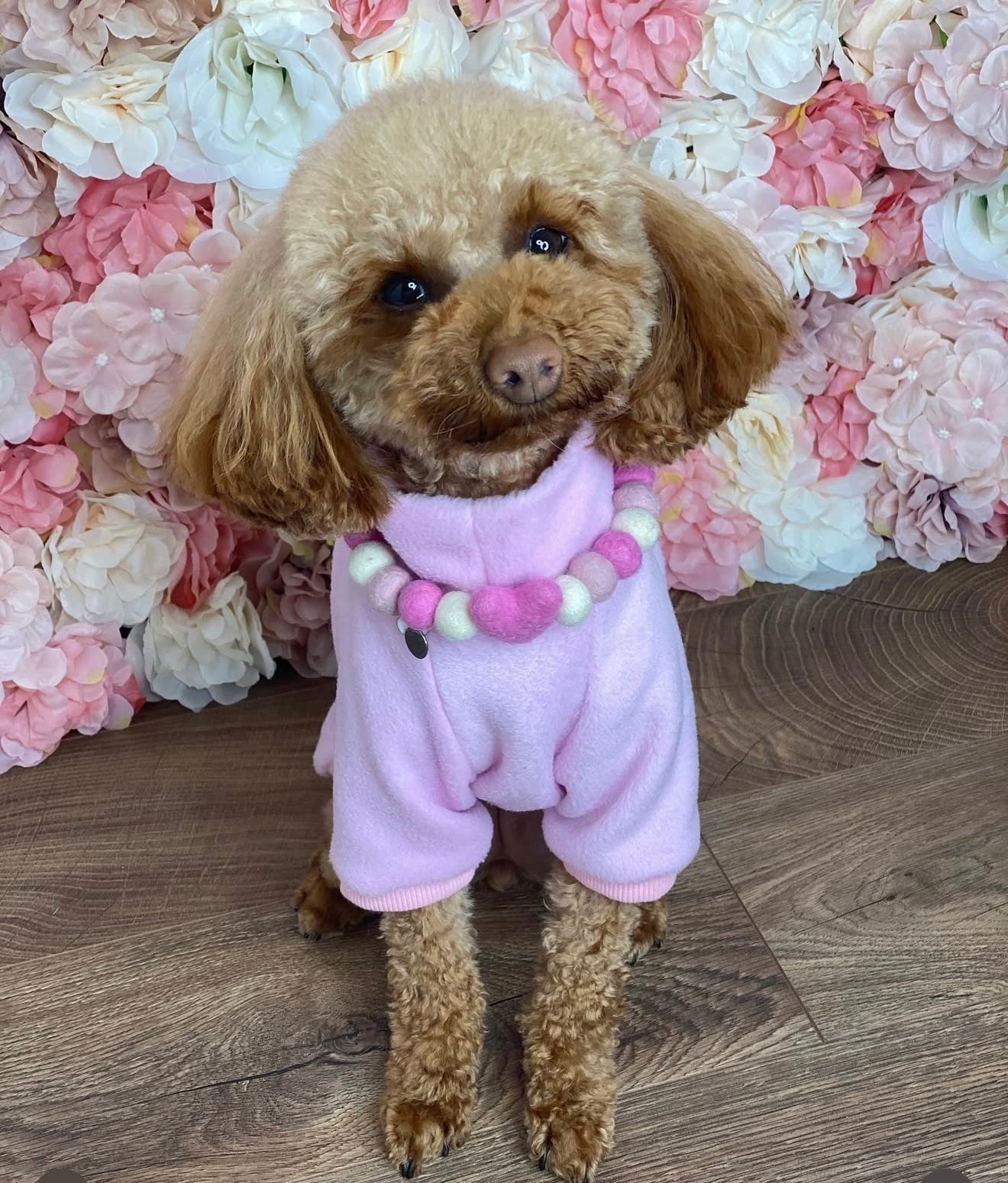 Bespoke | Various colours | Cosy loungewear | Comfy fleece jumper for small dogs and puppies