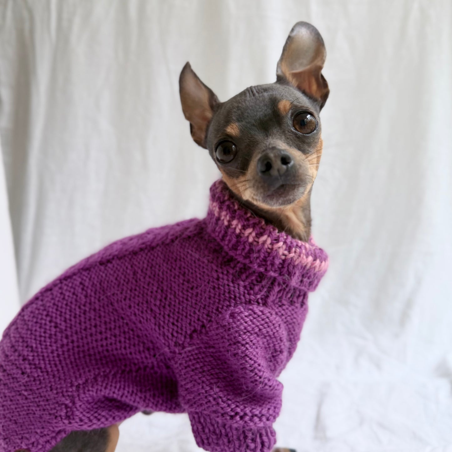 Hand knitted Alpaca Merino wool mix Jumper for 13-14inch chest, 9-10" length