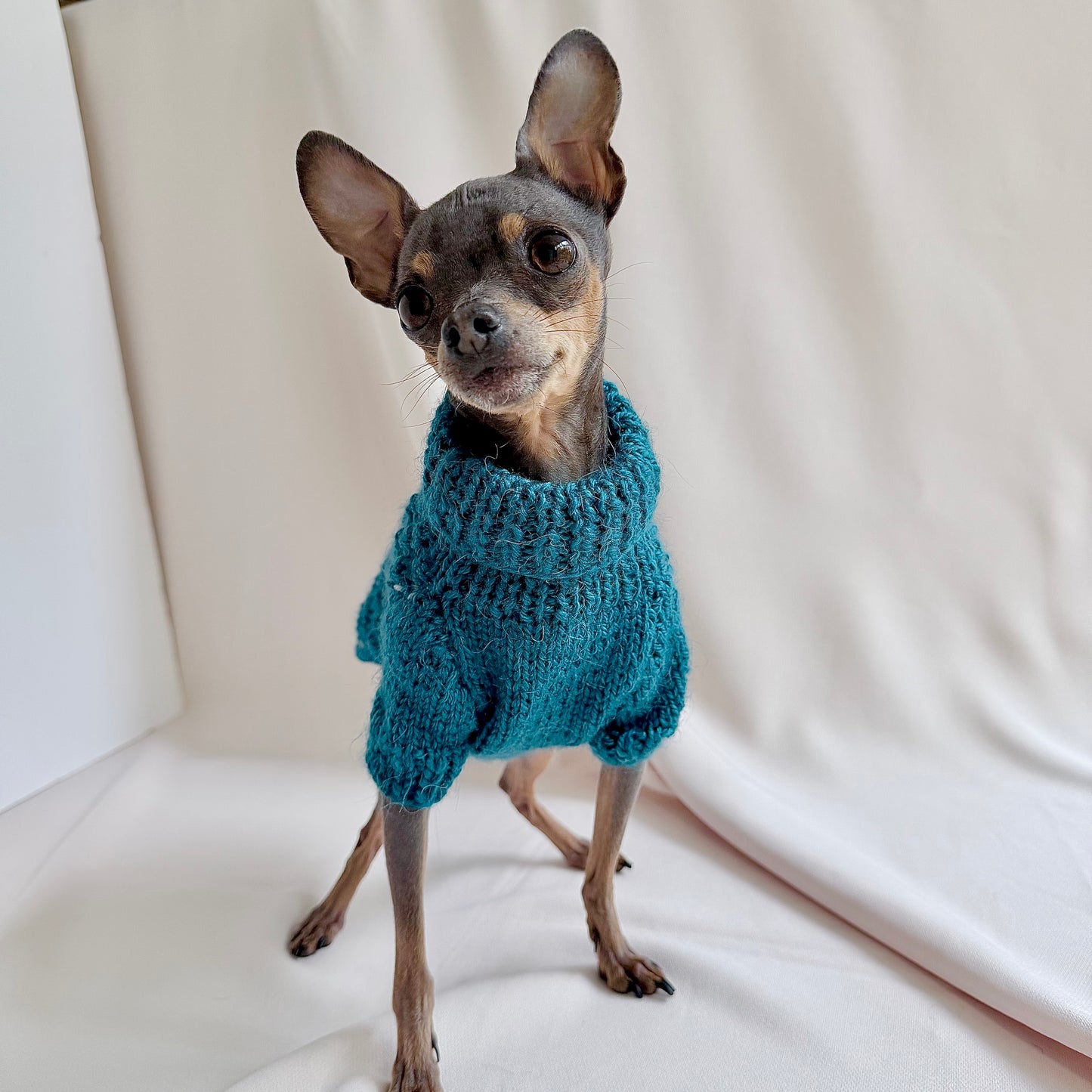 Hand knitted Alpaca Merino wool mix Jumper for Small Breed girl dogs 29-33cm chest