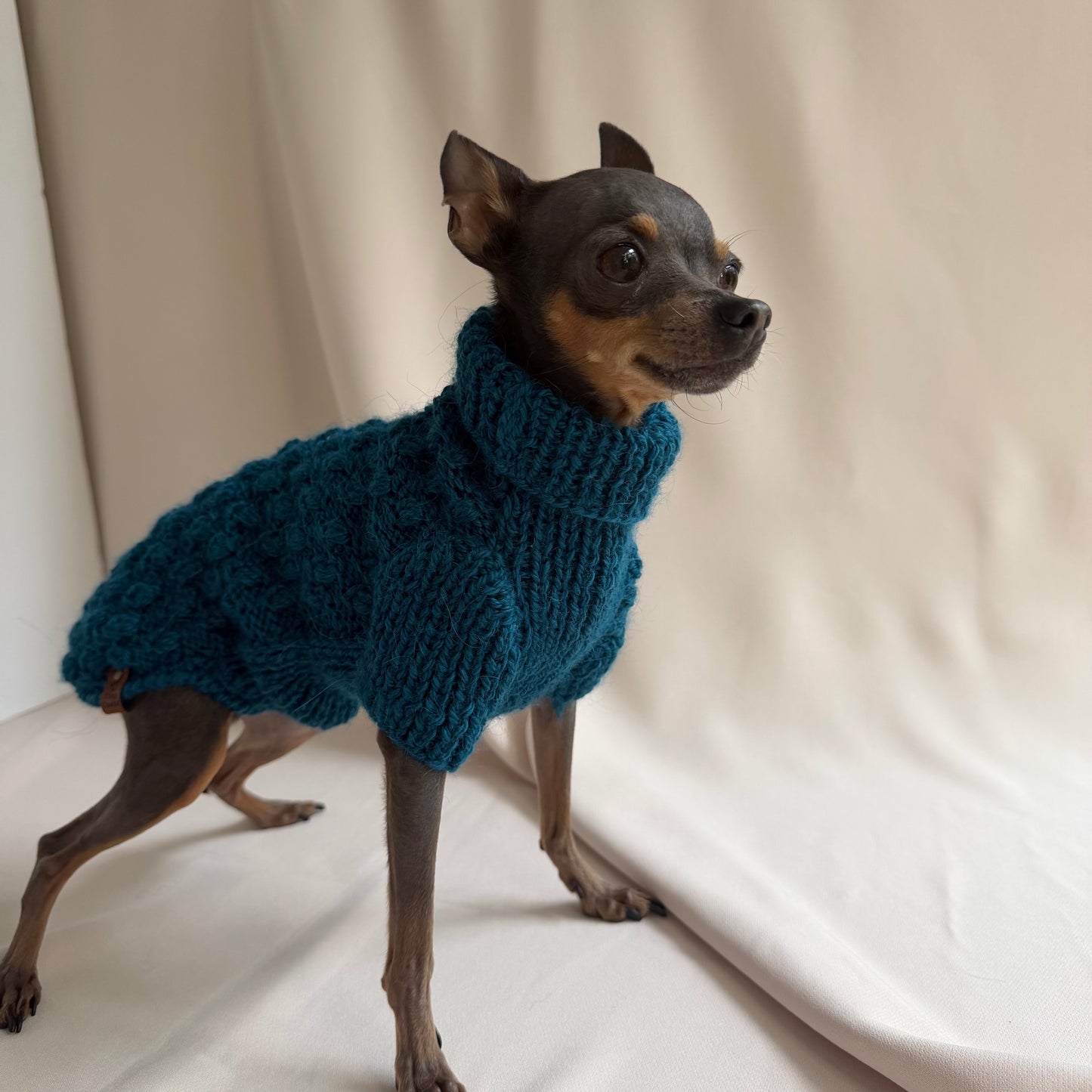 Hand knitted Alpaca Merino wool mix Jumper for Small Breed girl dogs 29-33cm chest