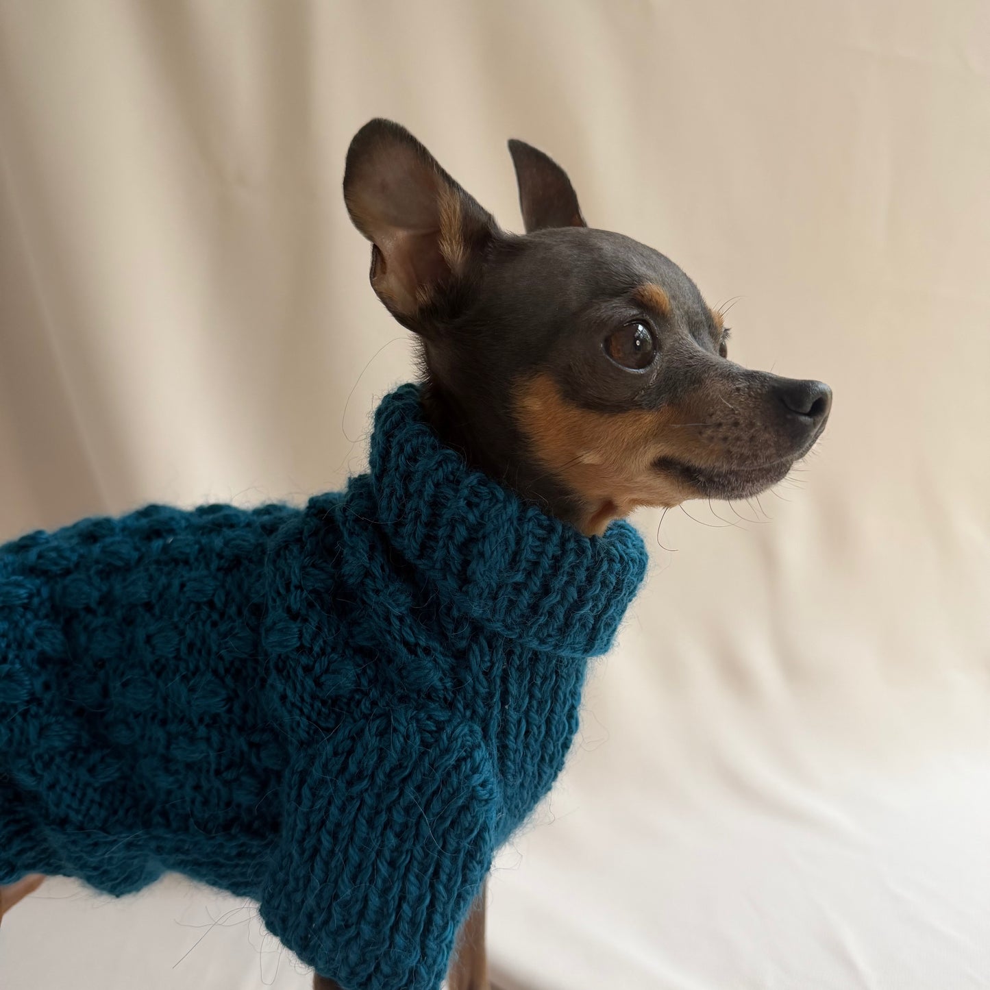 Hand knitted Alpaca Merino wool mix Jumper for Small Breed girl dogs 29-33cm chest