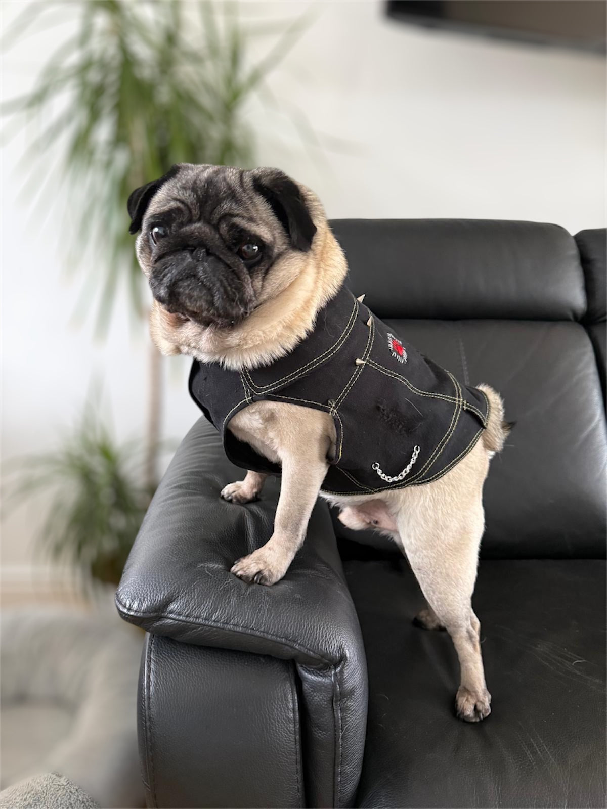PUG Upcycled Levi’s Denim Jacket -  Made to measure