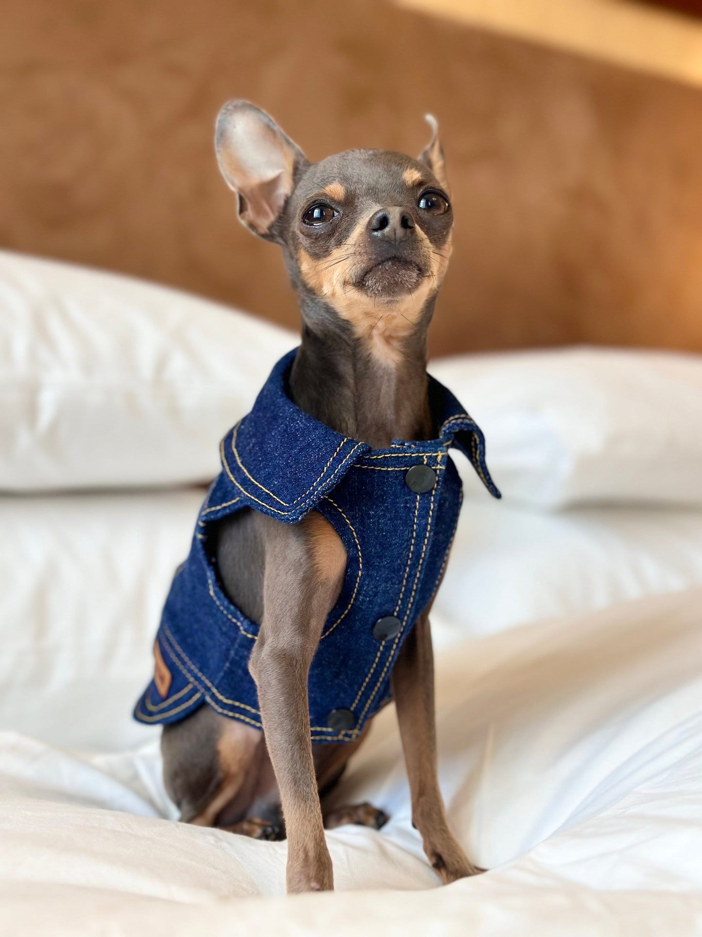 Custom Small Dog Denim Jacket - Handmade, Tailored & Fully Personalised