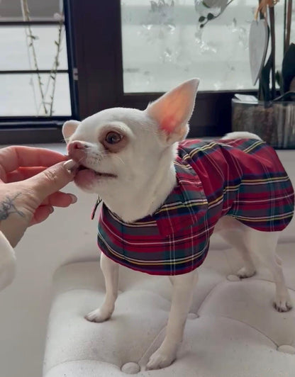 Made to Measure & fully customisable dog raincoat lined with cotton fleece or jersey