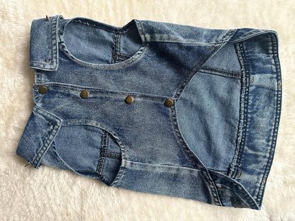 Denim Dog Jacket with winged Skull patch and Spiked Studs 49-55cm / 19-21.5inch chest