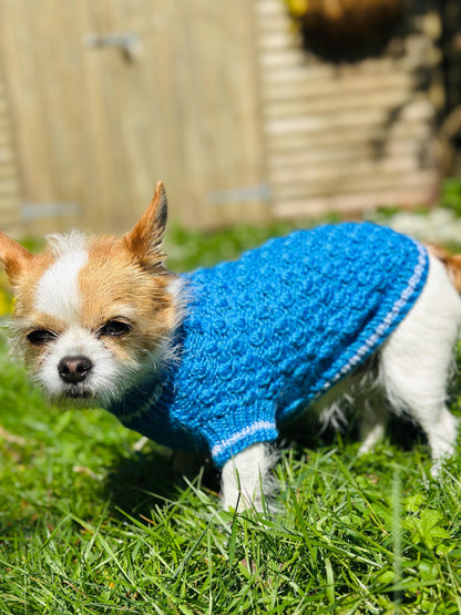 Hand knitted high quality wool mix sweater for Small Breed dogs and puppies (around 2-4kg)