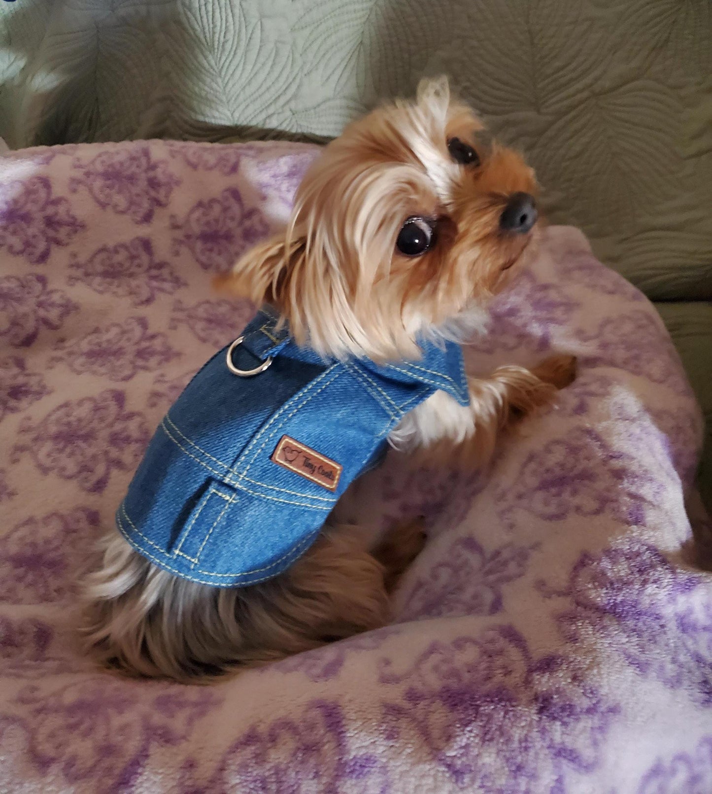 Custom Small Dog Denim Jacket - Handmade, Tailored & Fully Personalised