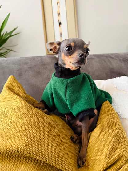 Bespoke | Various colours | Cosy loungewear | Comfy fleece jumper for small dogs and puppies