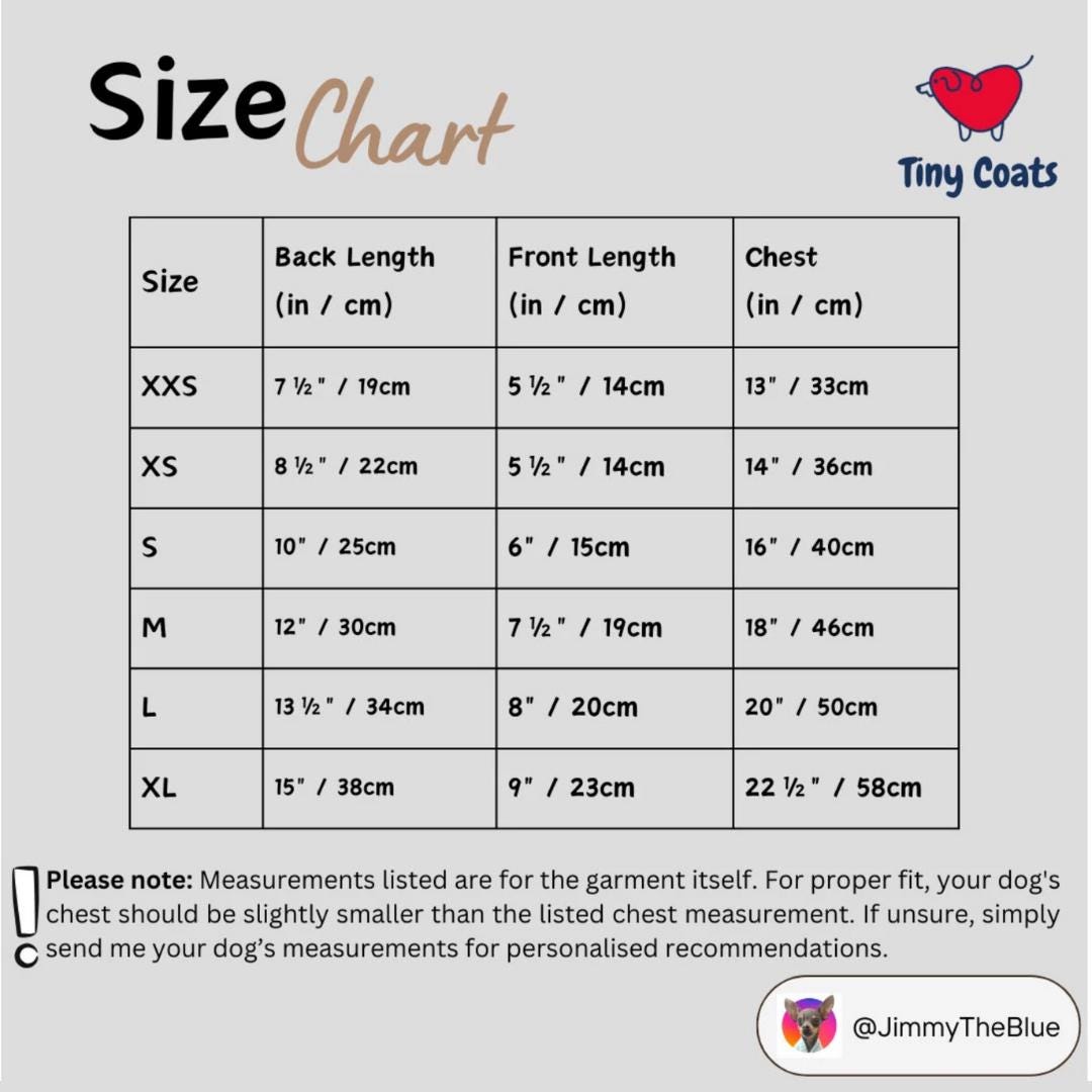 Hand Painted Day of the Dead Dog Denim Jacket