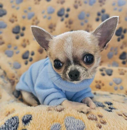 Bespoke | Various colours | Cosy loungewear | Comfy fleece jumper for small dogs and puppies