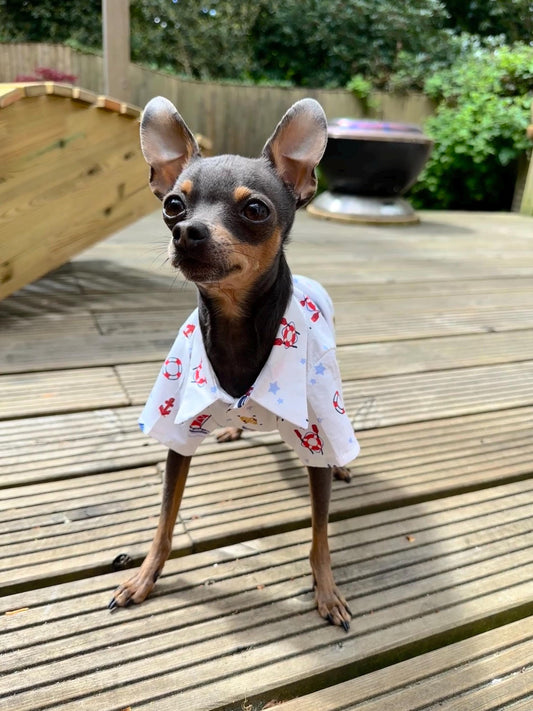 100% Lightweight Cotton Shirt Nautical print